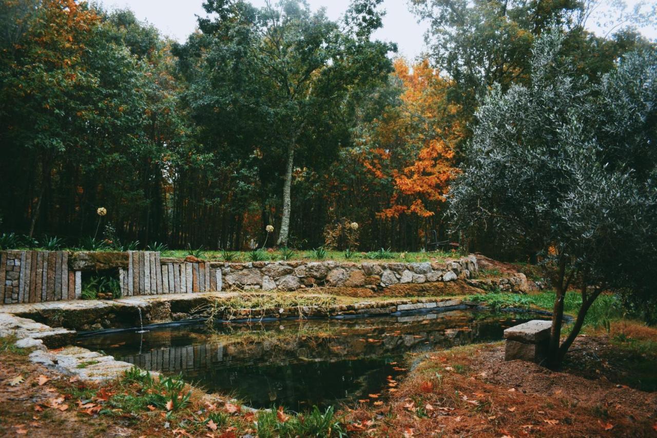Quinta Das Fontes - Alojamento Rustico Local E Turismo Rural São Pedro do Sul Exteriér fotografie
