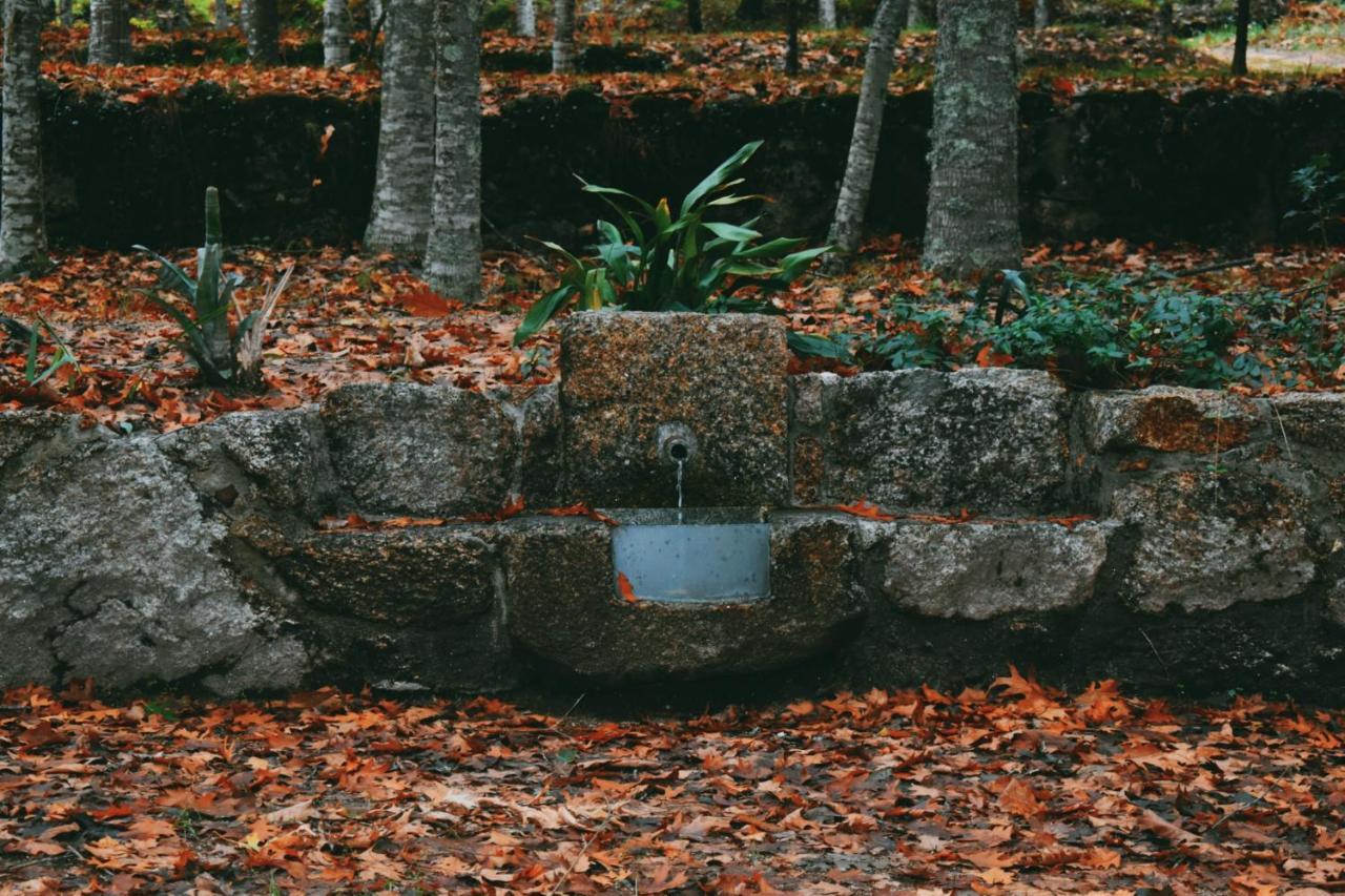 Quinta Das Fontes - Alojamento Rustico Local E Turismo Rural São Pedro do Sul Exteriér fotografie
