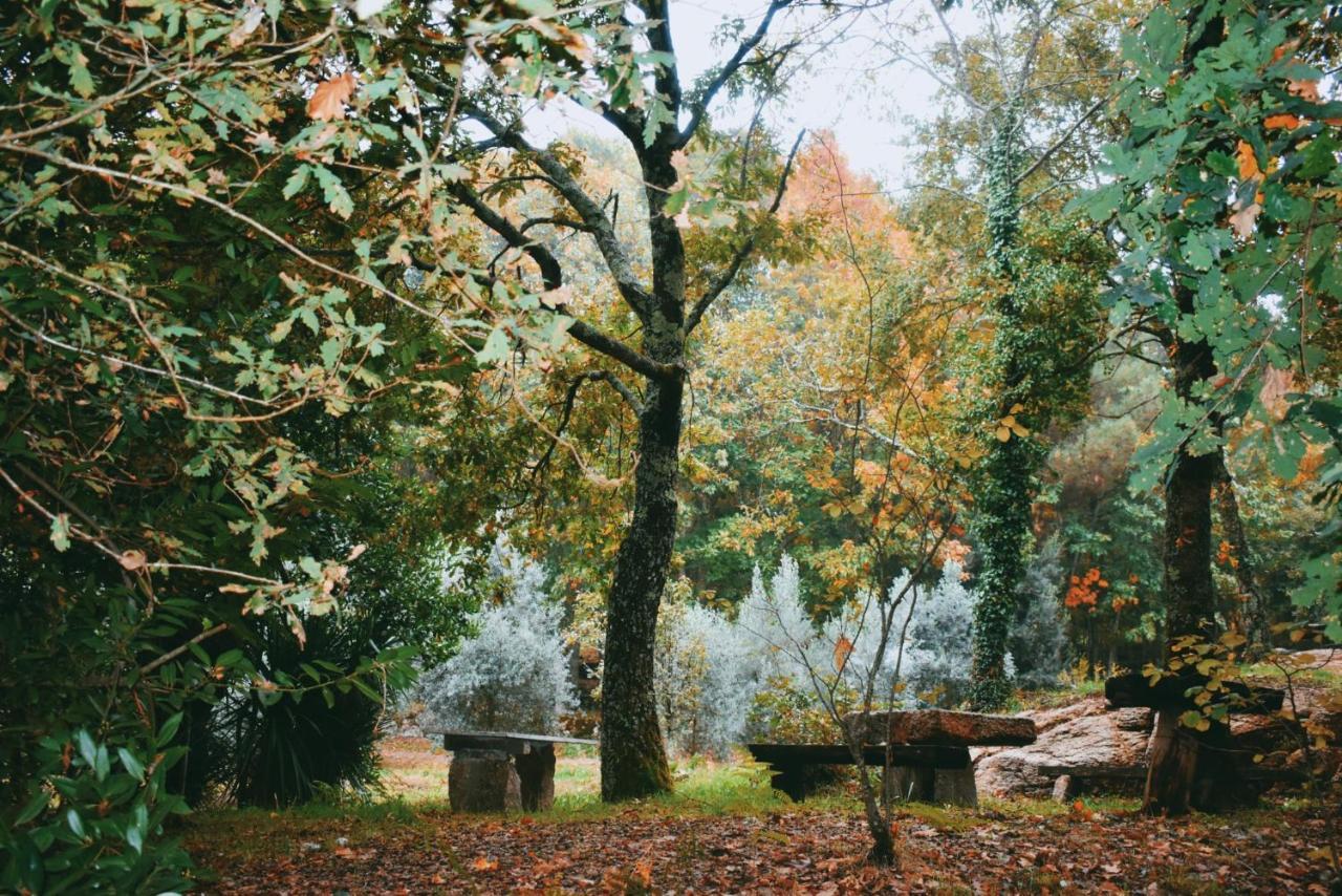 Quinta Das Fontes - Alojamento Rustico Local E Turismo Rural São Pedro do Sul Exteriér fotografie