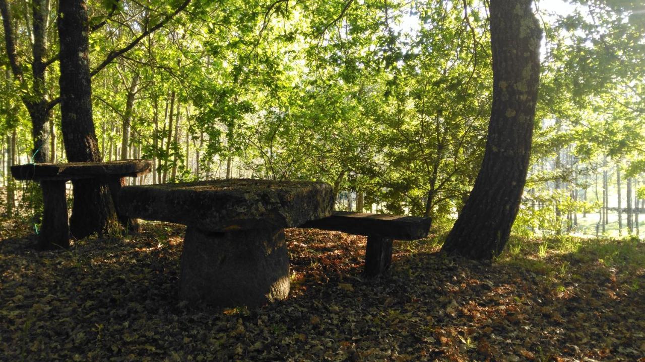 Quinta Das Fontes - Alojamento Rustico Local E Turismo Rural São Pedro do Sul Exteriér fotografie