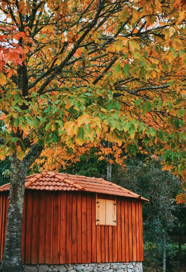 Quinta Das Fontes - Alojamento Rustico Local E Turismo Rural São Pedro do Sul Exteriér fotografie