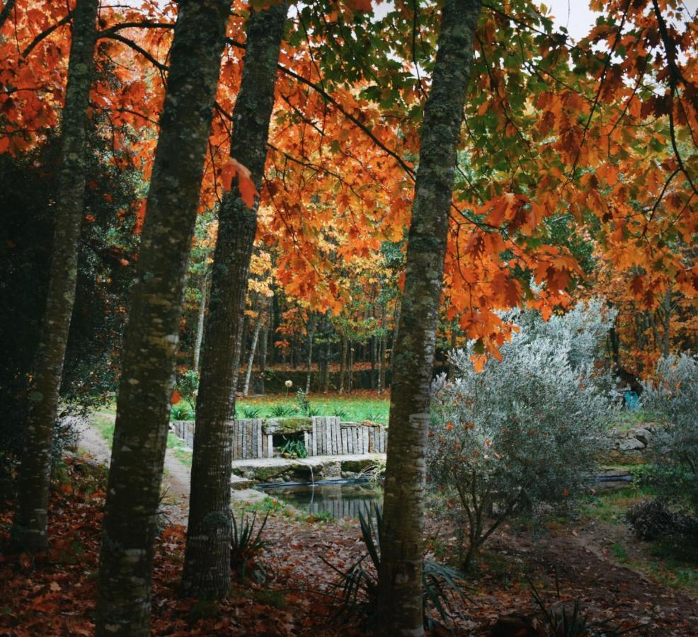 Quinta Das Fontes - Alojamento Rustico Local E Turismo Rural São Pedro do Sul Exteriér fotografie