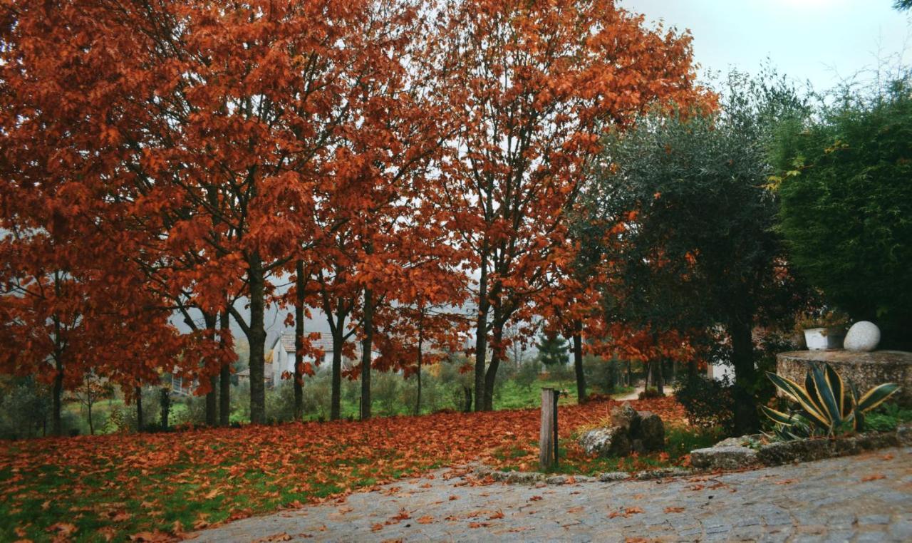 Quinta Das Fontes - Alojamento Rustico Local E Turismo Rural São Pedro do Sul Exteriér fotografie