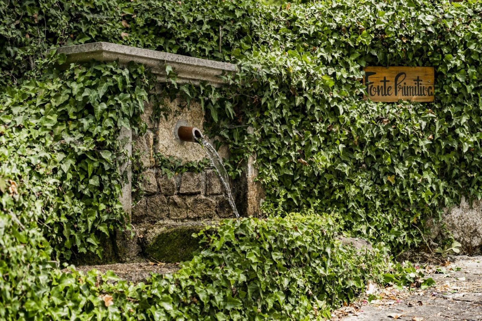 Quinta Das Fontes - Alojamento Rustico Local E Turismo Rural São Pedro do Sul Exteriér fotografie
