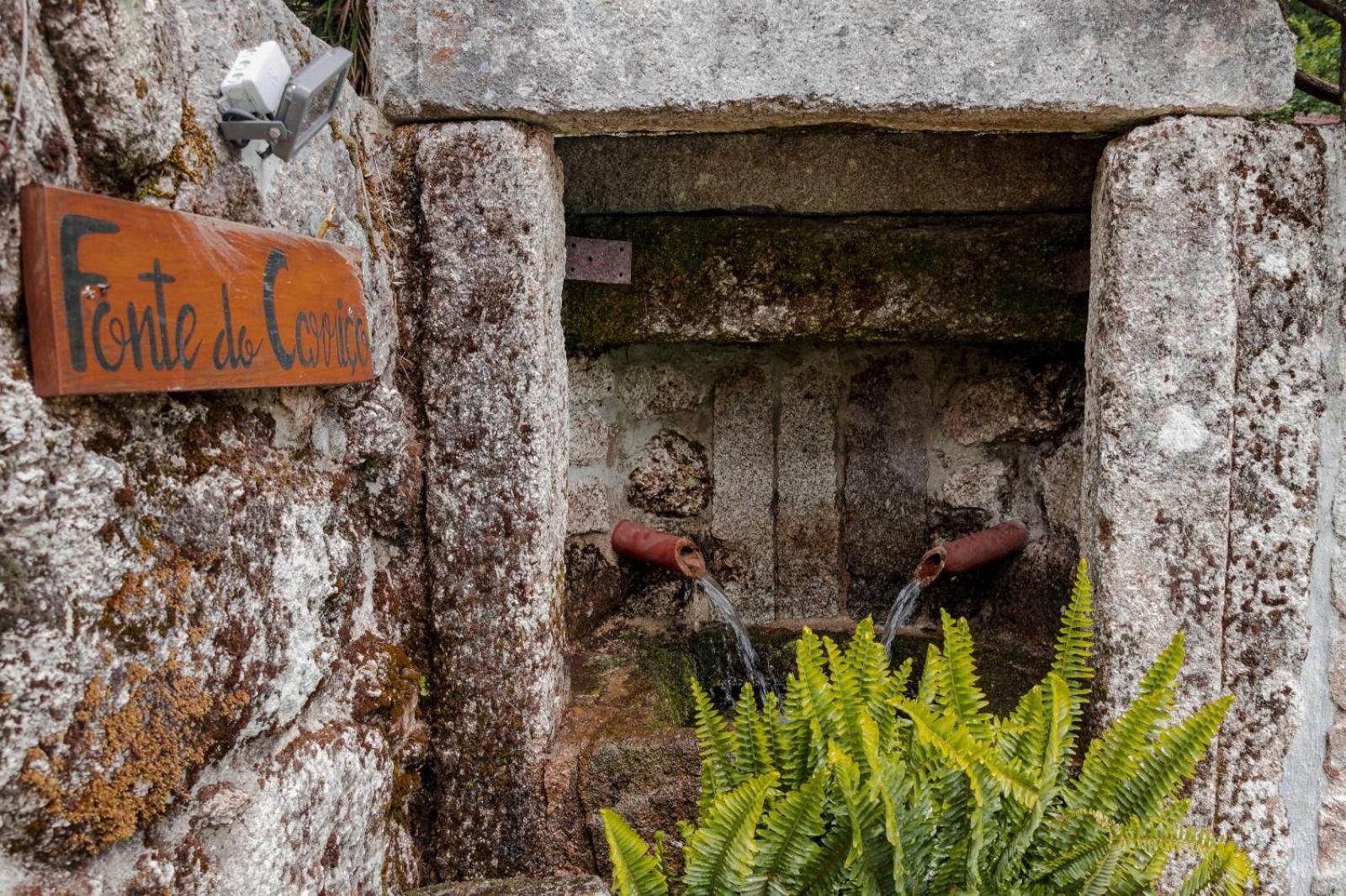 Quinta Das Fontes - Alojamento Rustico Local E Turismo Rural São Pedro do Sul Exteriér fotografie