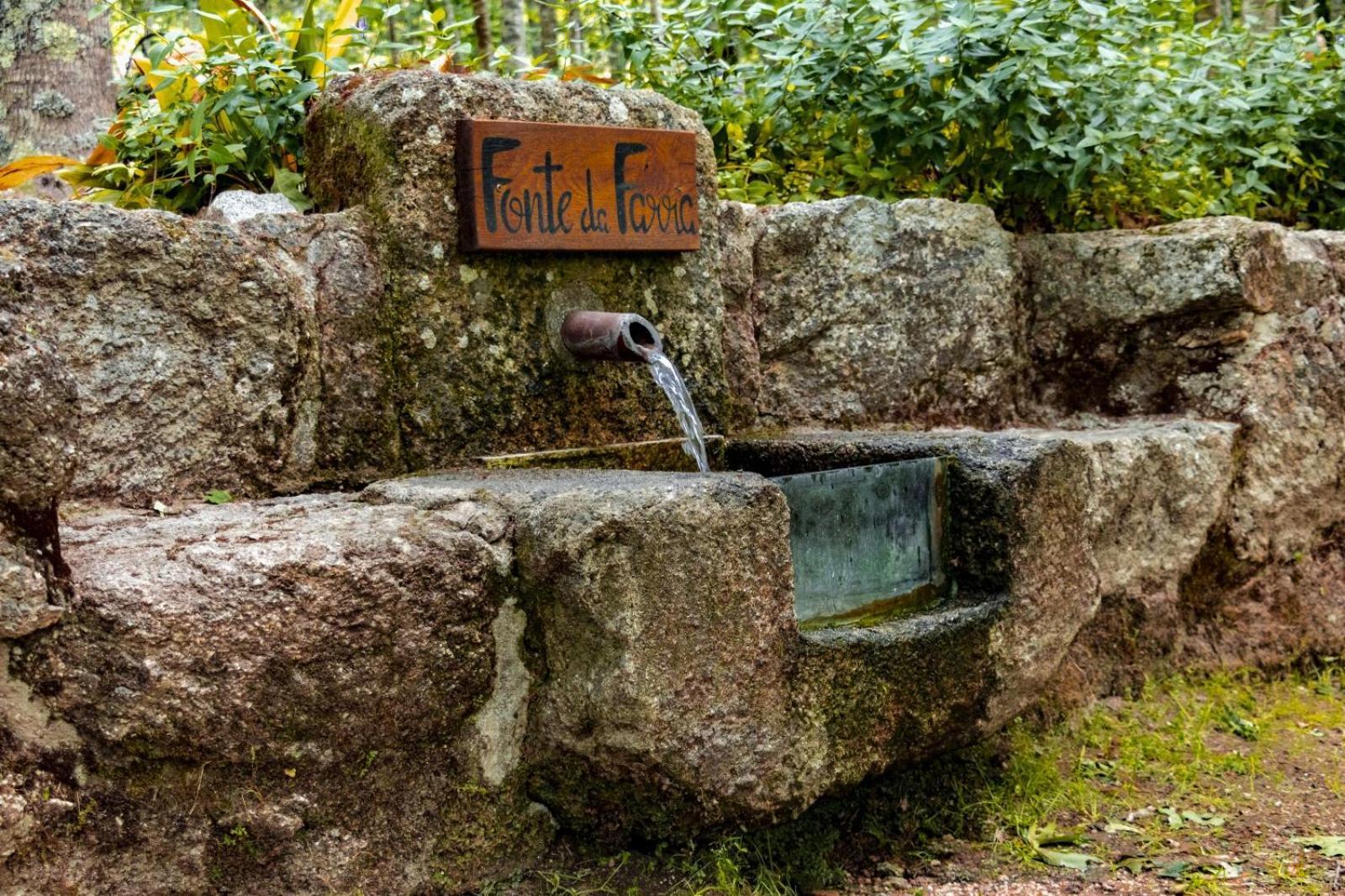 Quinta Das Fontes - Alojamento Rustico Local E Turismo Rural São Pedro do Sul Exteriér fotografie